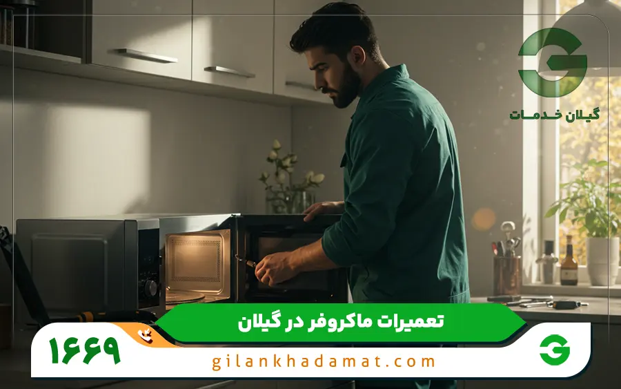 کدام مدل از مایکروفرهای اسنوا در گیلان خدمات تعمیر می شود؟